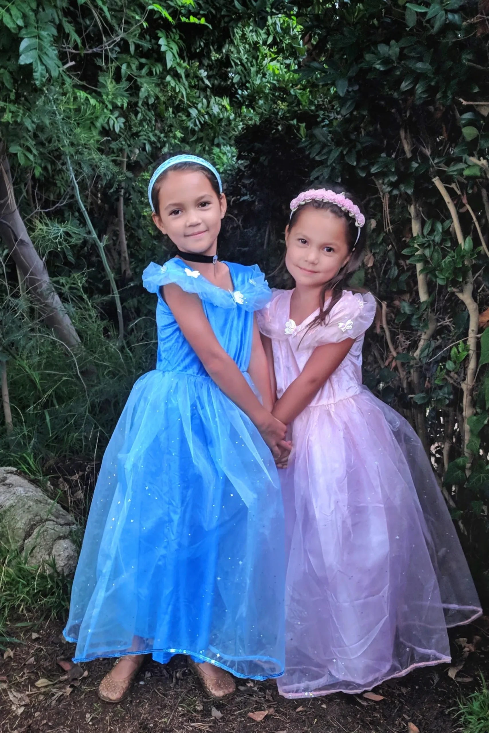 Little Adventures Deluxe Pink Butterfly Princess> Dresses