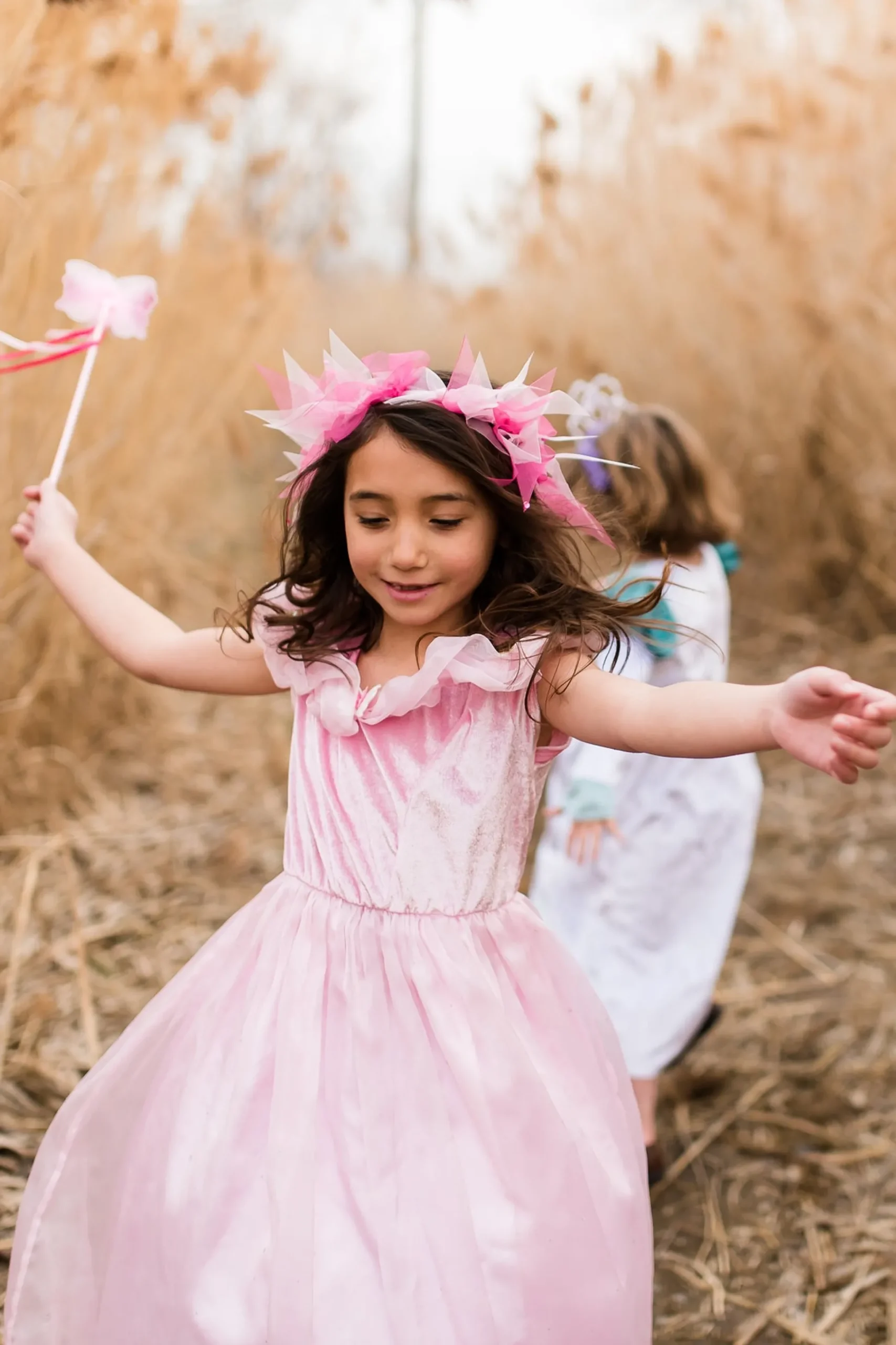 Little Adventures Deluxe Pink Butterfly Princess> Dresses