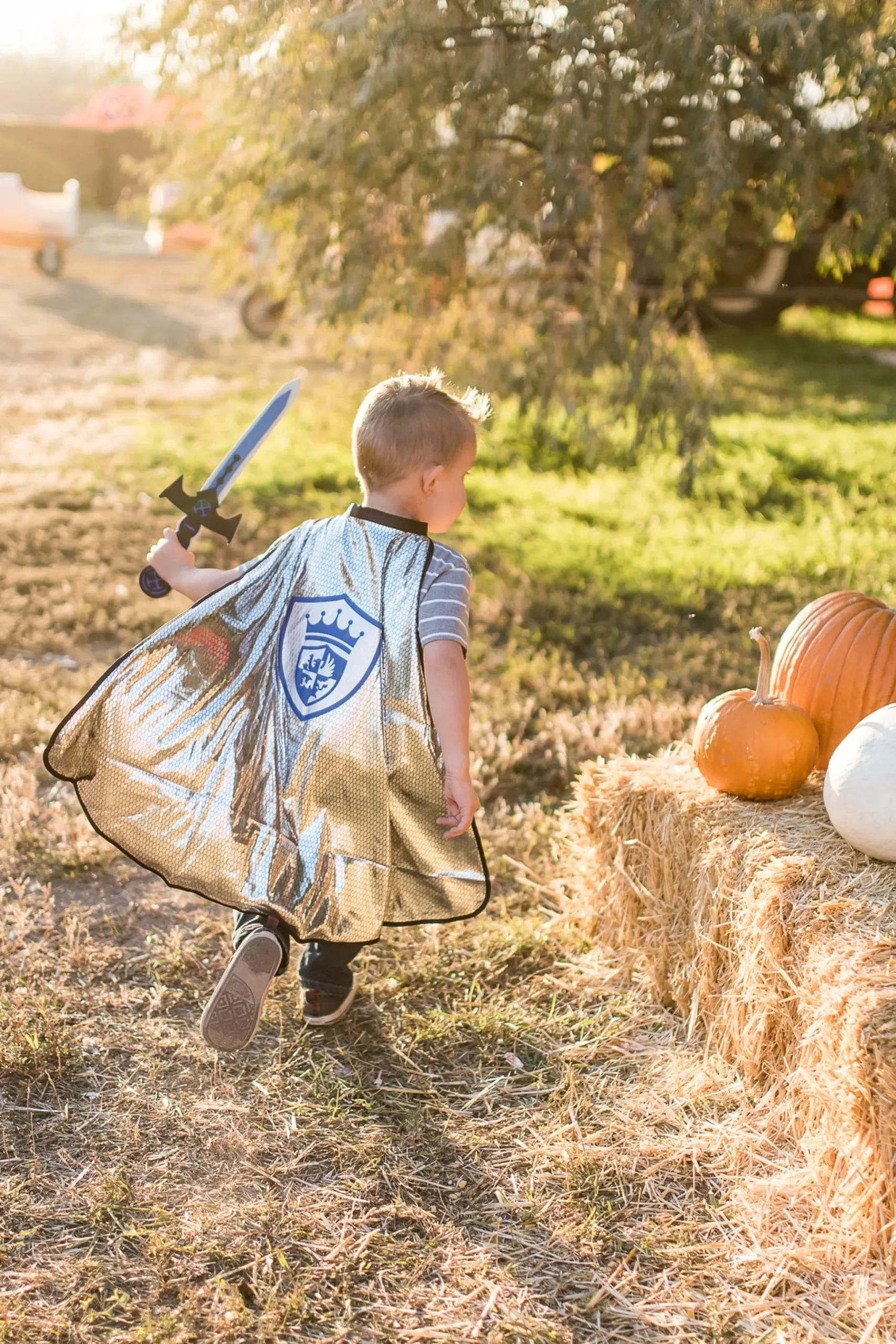 Little Adventures Knight Cape & Sword Set> Dress Ups