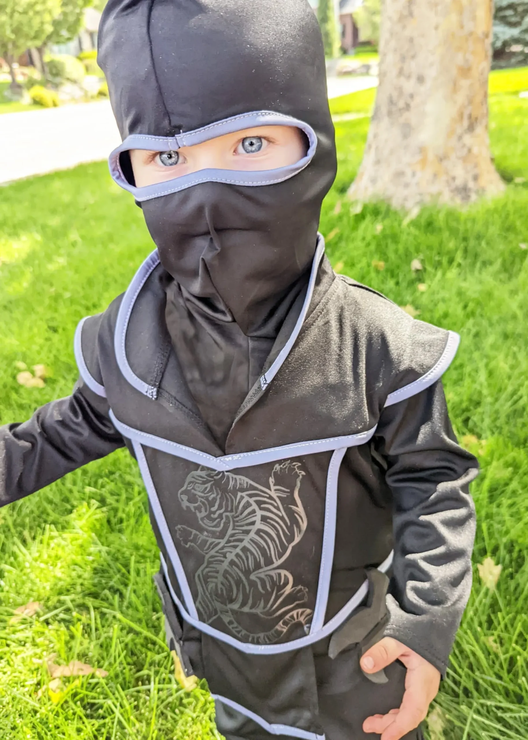 Little Adventures Ninja Set> Dress Ups