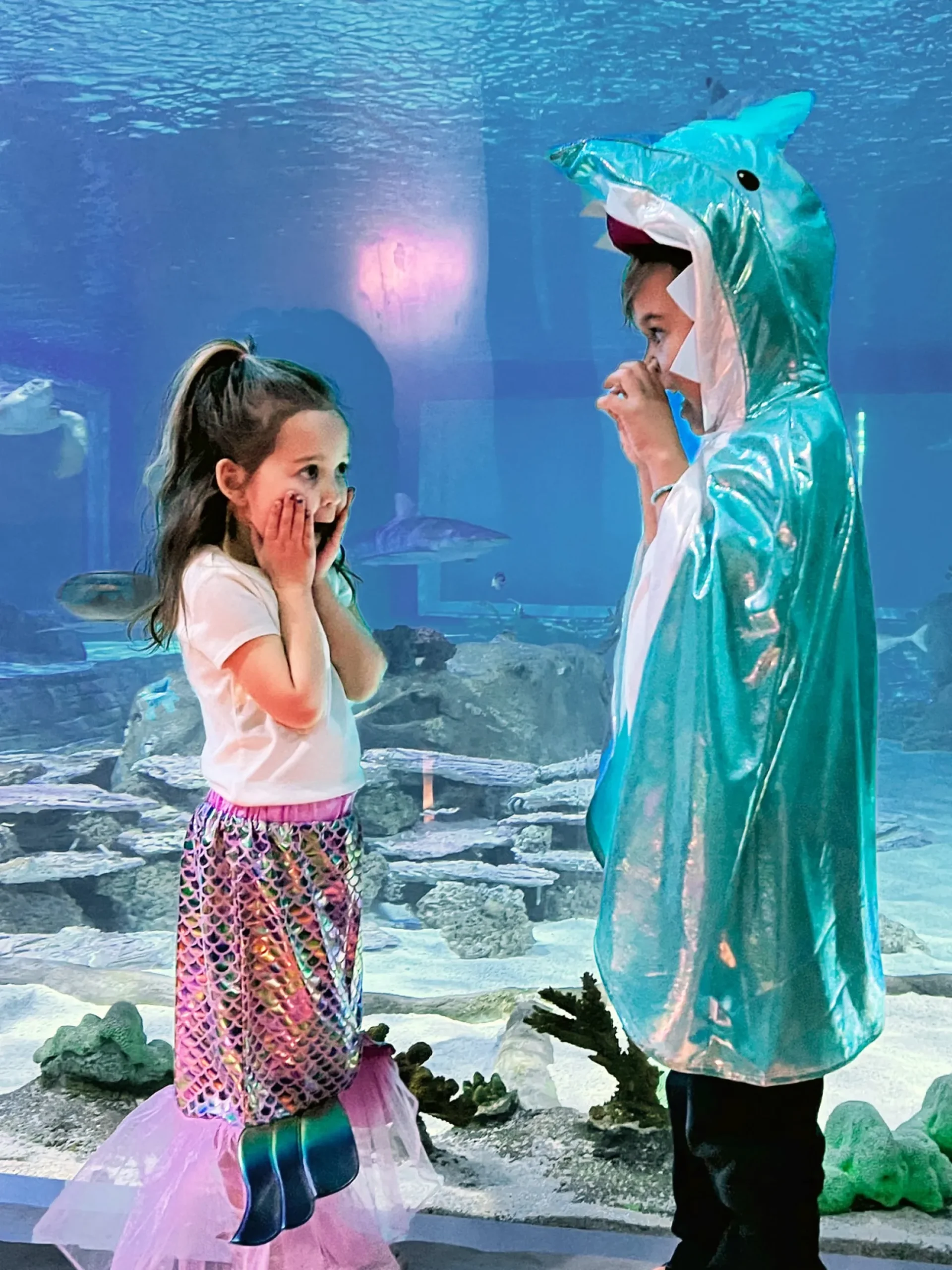 Little Adventures Pink Mermaid Splash> Tutus & Skirts