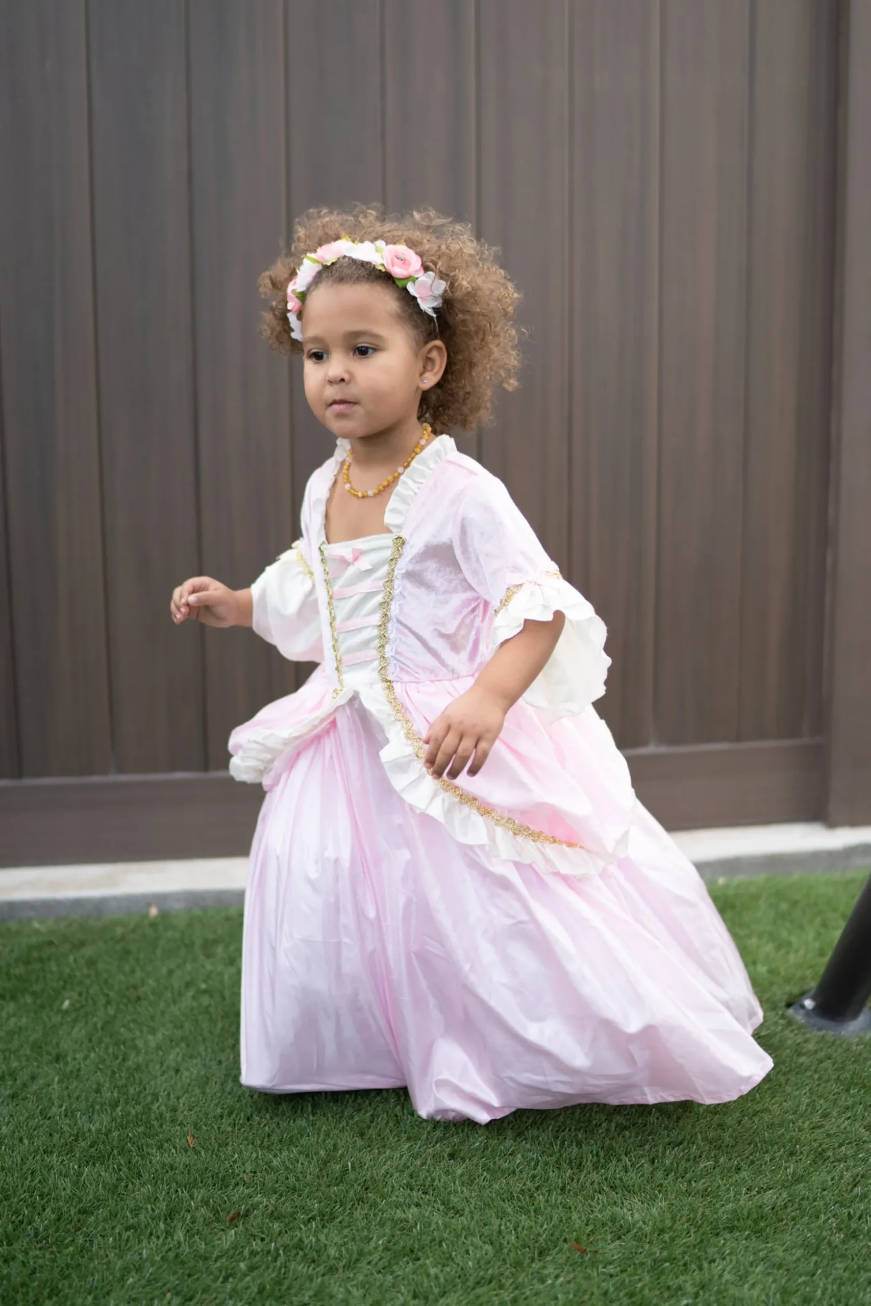 Little Adventures Pink Vintage Princess Dress> Dresses