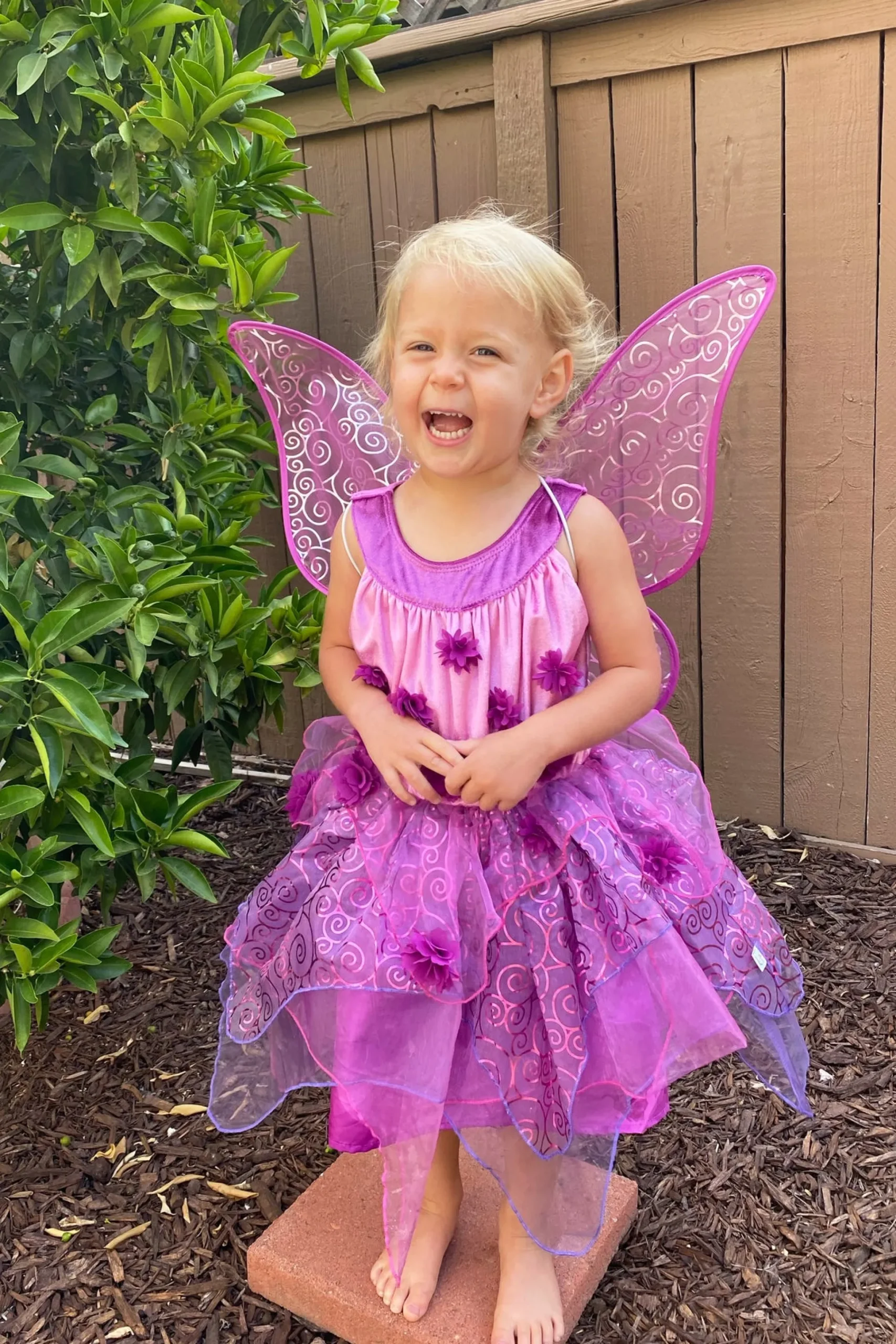 Little Adventures Purple Blossom Fairy> Fairies